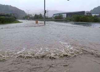 Der Grad der Versiegelung in Niederösterreich: Fakten und Zahlen news-18092024-215508