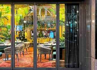 Das Ende des ukrainischen Gastro-Versteckspiels in Wien news-20092024-082222