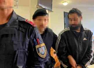 Urteil im Fall des Angriffs auf Wiener Polizisten: 24-Jähriger verurteilt news-20092024-165231