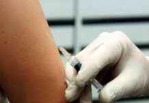 Neuer Impfstoff nicht lieferbar: 354.000 Grippeimpfungen verschwunden news-20092024-205203