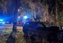 Bürgermeister flieht vor Polizei und prallt gegen Baum: Skandal aufgedeckt news-21092024-081704