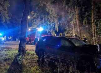 Bürgermeister flieht vor Polizei und prallt gegen Baum: Skandal aufgedeckt news-21092024-081704