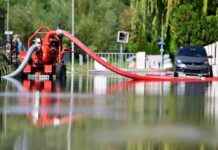 Die Auswirkungen von Fünfjahreswahlen: Was Sie wissen müssen news-21092024-214454