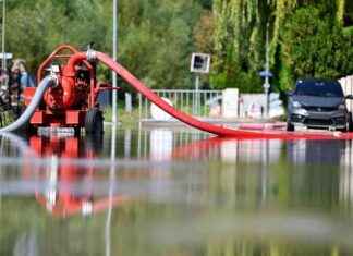 Die Auswirkungen von Fünfjahreswahlen: Was Sie wissen müssen news-21092024-214454