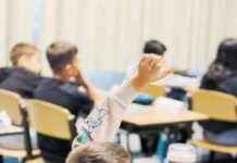 Herausforderungen im Bildungssystem: Besuch einer Brennpunktschule in Favoriten news-22092024-135233