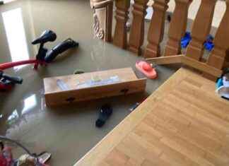 Reinigung nach Hochwasser: Alternativen zur Schule news-22092024-135420