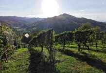 Altweibersommer in der Steiermark: Wettervorhersage und Prognose news-22092024-175459