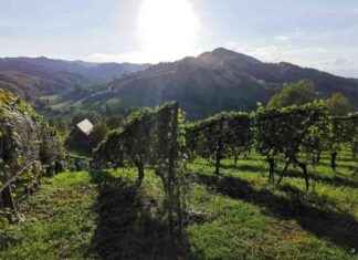 Altweibersommer in der Steiermark: Wettervorhersage und Prognose news-22092024-175459