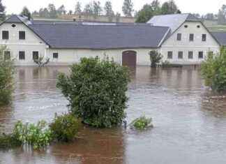 Unwetterkatastrophe am Wahltag: Folgen und Auswirkungen news-24092024-083807