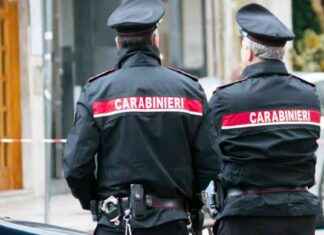 Italien kritisiert Wien für Straffreiheit bei Rasern news-24092024-170417