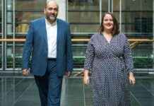 Neue Führung bei den Deutschen Grünen: Überraschender Rücktritt und Zukunftsausblick news-25092024-134330