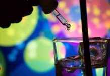 K.o.-Tropfen: Anstieg der Fälle und Gefahrenbewusstsein – Experten warnen news-27092024-174948