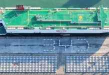 China muss die Welt mit E-Autos erobern: Der Weg zum Erfolg news-27092024-220049