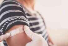 Grippe-Impfung: Empfohlene Impfzeitpunkte für verschiedene Gruppen news-02102024-192521