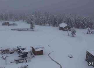 Wettervorhersage: Schnee auf den Bergen, sonniges und warmes Wochenende erwartet news-04102024-123057