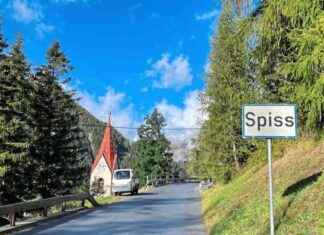 Das blaue Bergdorf: FPÖ Wahlergebnisse und Analyse news-06102024-160950