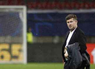 Andreas Schicker wechselt von Sturm Graz zu Hoffenheim news-12102024-054639