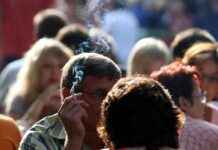 Rauchverbot in Schanigärten: Die Welt dreht sich weiter, wenn Gastgärten rauchfrei bleiben news-13102024-055300