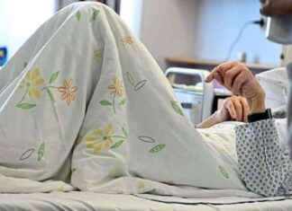 Eskalation des Streits um Gastpatienten zwischen Doskozil und Hacker in Wien news-16102024-031939