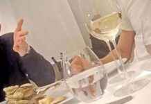 Hitlers SS als Vorbild: Enthüllung der Pläne von AfD-nahem Influencer news-17102024-034526