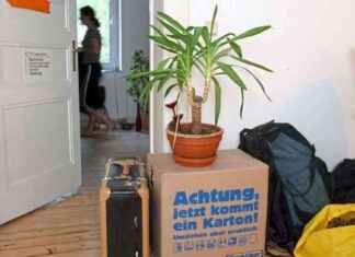 Wird das Eigenheim erschwinglicher? EZB senkt erneut die Zinsen. news-18102024-163907