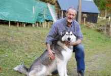 Rechtswidrige Hundeabnahme: Betroffener kämpft weiterhin um seine Tiere news-18102024-224045