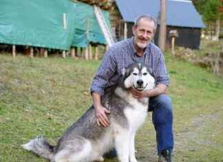 Rechtswidrige Hundeabnahme: Betroffener kämpft weiterhin um seine Tiere news-18102024-224045