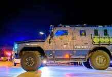 Tödlicher Vorfall in Gänserndorf: Cobra-Beamter verletzt news-20102024-045126