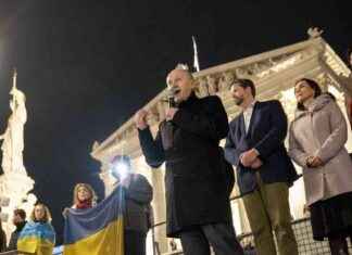 Ukraine-Botschafter Khymynets: Protest der Friedensbewegungen im Fokus news-20102024-225520