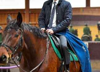 Warnung aus Berlin: Kickl-FPÖ als Trojanisches Pferd Russlands news-25102024-000432