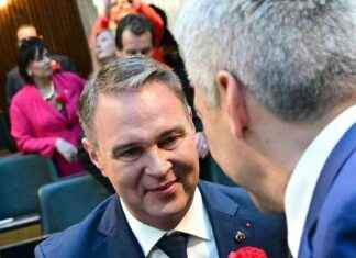 Koalitionsverhandlungen zwischen ÖVP und SPÖ: Fahrplan für Regierungskoalition news-25102024-120910