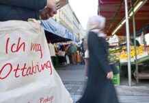 Die politische Dynamik in Wiens Bezirken: FPÖ in Favoriten stark, in Ottakring schwach news-25102024-181800