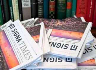 Signa-Verwertungen: Von Chrysler Building zu Gusenbauer nach Chile – Eine Reise durch verschiedene Eigentumswelten news-29102024-070435