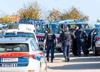 Polizei-Schauen und Spekulieren: Ein Ort sucht einen Jäger in Altenfelden news-30102024-011026