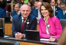 Warum sind Regierungsmitglieder auch Abgeordnete? news-30102024-071126