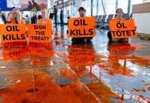 Erhöht radikaler Klimaaktivismus die Akzeptanz von gemäßigtem Klimaschutz? – Auswirkungen auf die Akzeptanz von Klimaschutzmaßnahmen news-01112024-124823