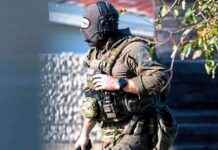 Tote im Mühlviertel: Passant findet Täterfahrzeug im Waldstück news-01112024-185040