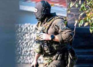 Tote im Mühlviertel: Passant findet Täterfahrzeug im Waldstück news-01112024-185040