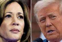 Analyse der US-Wahl 2020: 6 Fragen und 8 Grafiken zur Spannung im Rennen news-03112024-204304