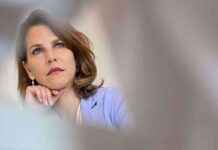 Edtstadler in Salzburg: Zukunft als Landeshauptfrau? news-05112024-041737