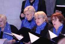 Musikalisches Friedensgebet in der Stadtpfarrkirche Köflach news-05112024-101907