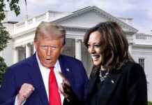 Liveblog zur US-Präsidentschaftswahl: Trump vs. Harris – Wer wird gewinnen? news-05112024-162046