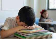 Angst vor der Mittelschule: Ursachen und Bewältigungsmöglichkeiten news-09112024-224054