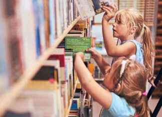 Die Notwendigkeit einer Gesamtschule: Interview mit Bildungsexpertin Christiane Spiel news-10112024-044515