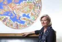 Europäer müssen aufhören, sich wie Kinder zu benehmen: Ex-Außenministerin Plassnik news-10112024-145156