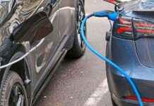 Beeinträchtigt das Image die Elektroauto-Verbreitung? news-10112024-205500