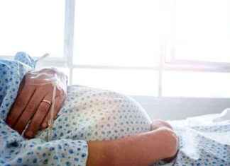 Schwangerschaftskosten: Warum Kassenversorgung oft nicht ausreicht news-11112024-150150