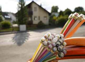 Breitbandinitiative kostet Steuerzahler bis zu 43.000 Euro je Anschluss news-16112024-123740