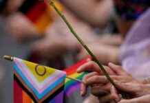 Kampf gegen Wokeness in der Politik: Eine strategische Analyse news-16112024-184049