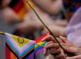 Kampf gegen Wokeness in der Politik: Eine strategische Analyse news-16112024-184049